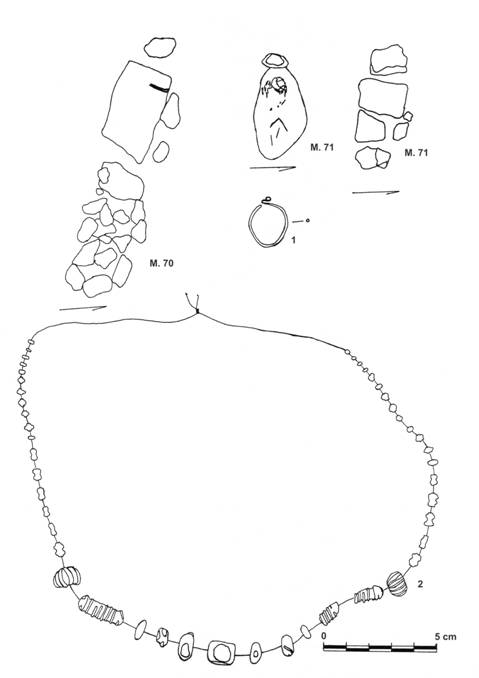 Pl. VII. Alba Iulia – Str. Brînduşei / 2004 ( după Dragotă-colab. 2005